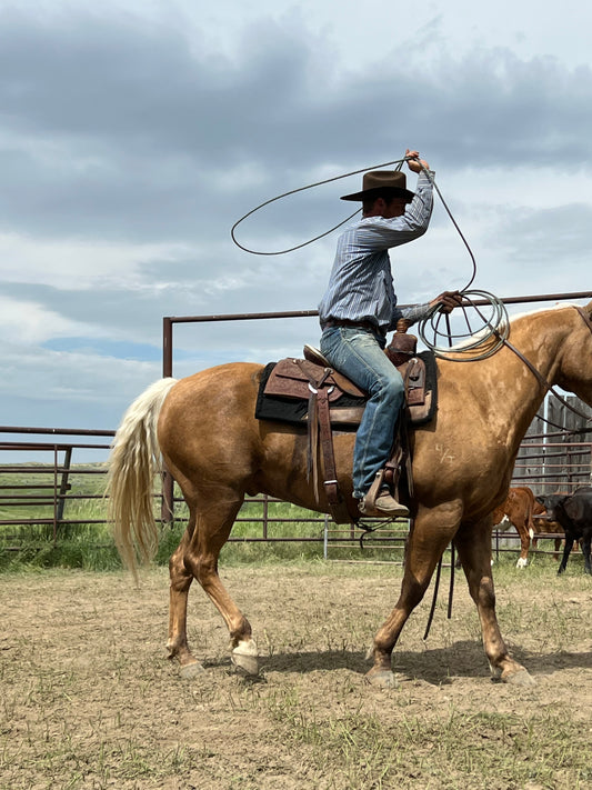 Rodeos aren't an American Sport