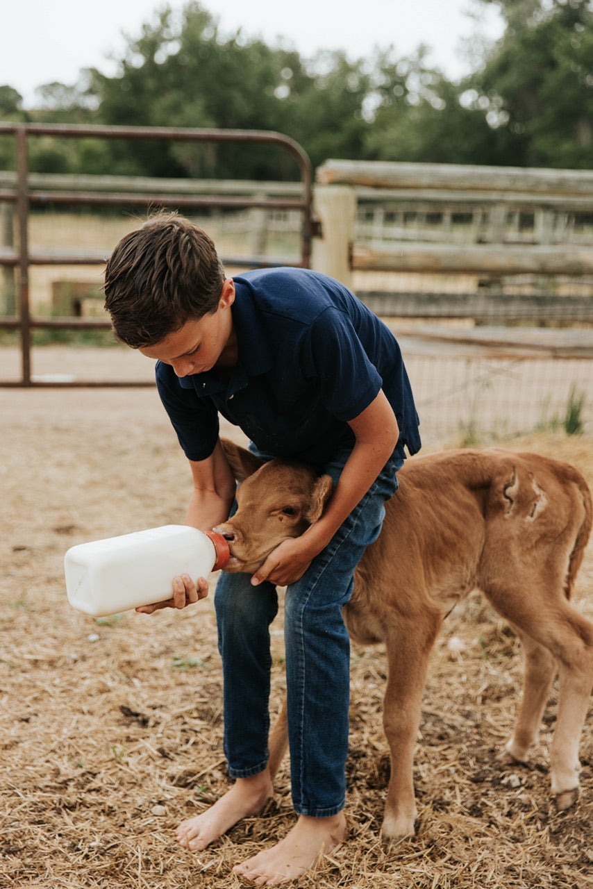 How to take care of Bum Calves